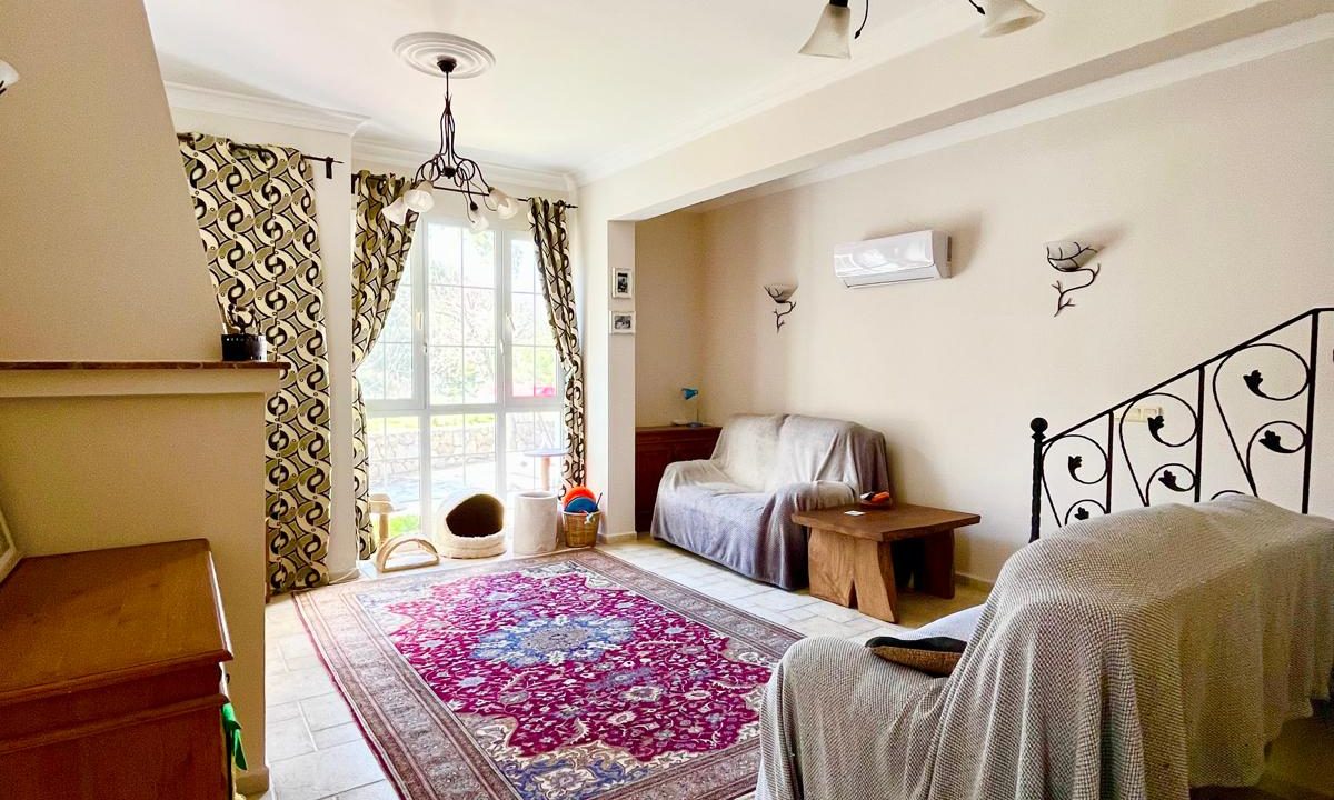 sue cats villa.html21