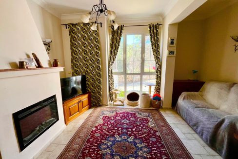 sue cats villa.html23