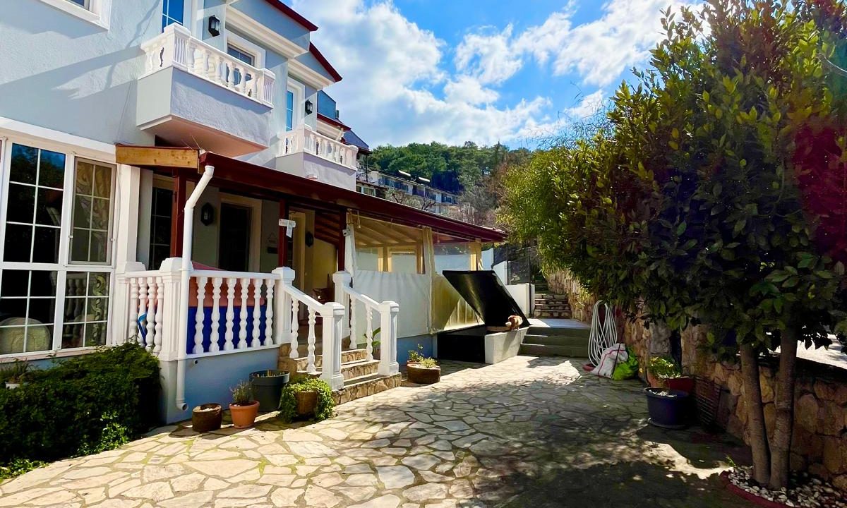 sue cats villa.html2