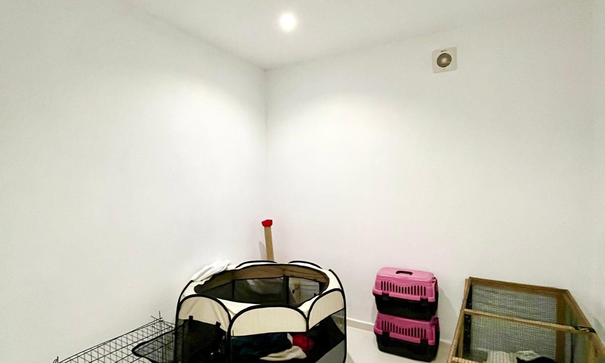 sue cats villa.html34
