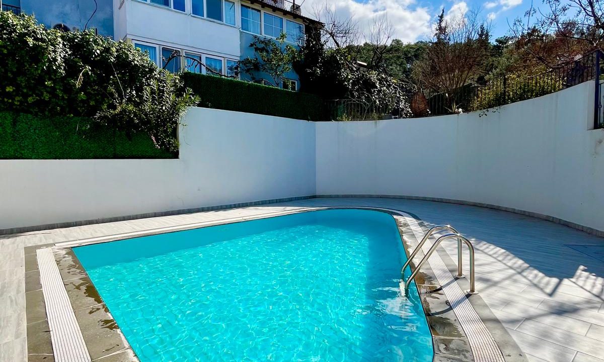 sue cats villa.html46