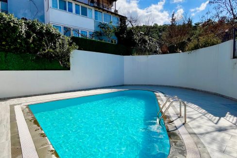 sue cats villa.html46