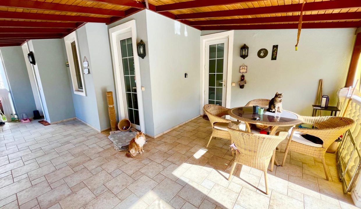 sue cats villa.html53
