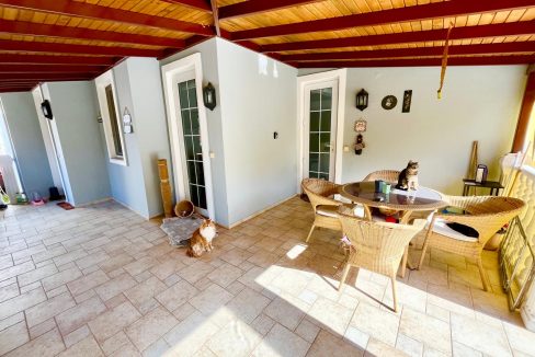 sue cats villa.html53