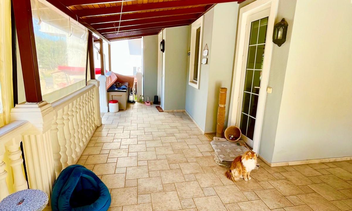 sue cats villa.html54