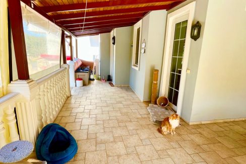 sue cats villa.html54