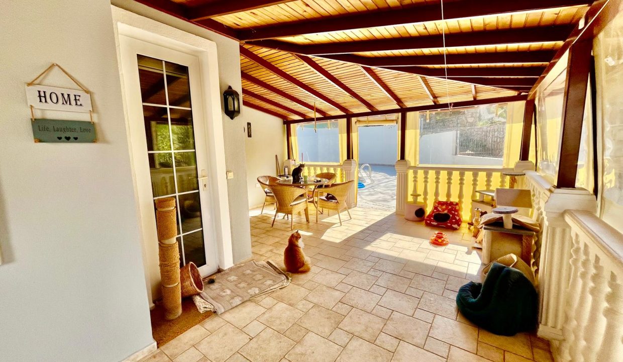 sue cats villa.html55