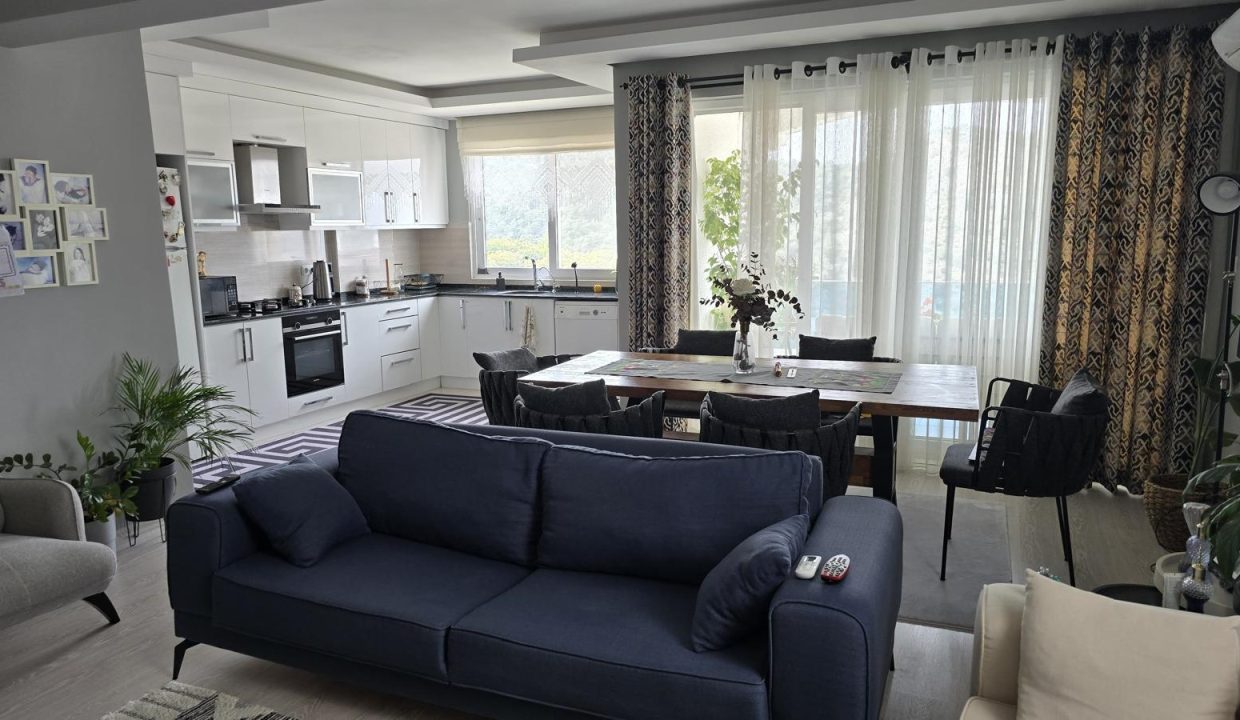 avm apt 6