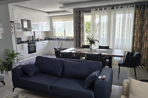 avm apt 6
