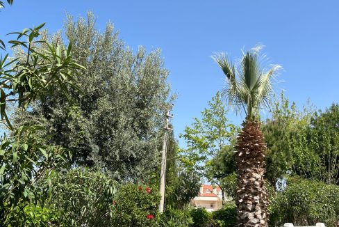 ruya 12