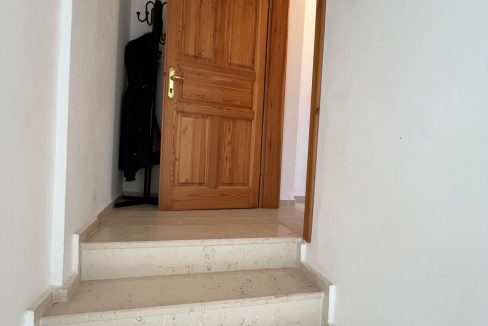 ruya 35