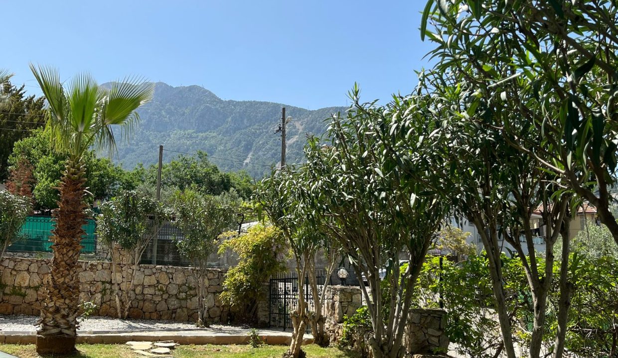 ruya 5