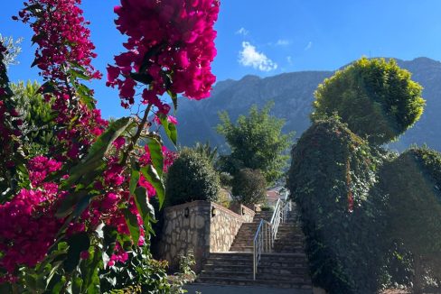 orka park 1-9 long term rental.jpg1.jpg3999