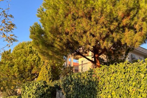 orka park 1-9 long term rental.jpg22