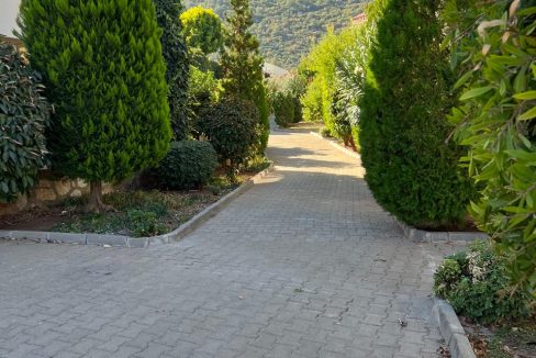 orka park 1-9 long term rental.jpg3686