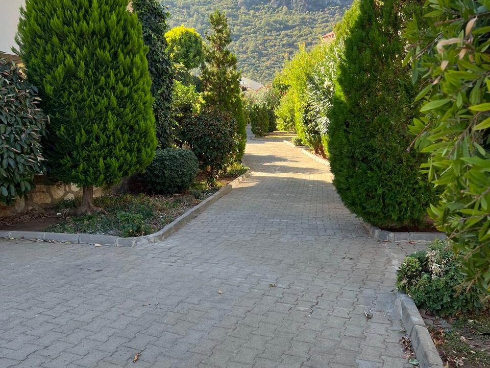 orka park 1-9 long term rental.jpg3686
