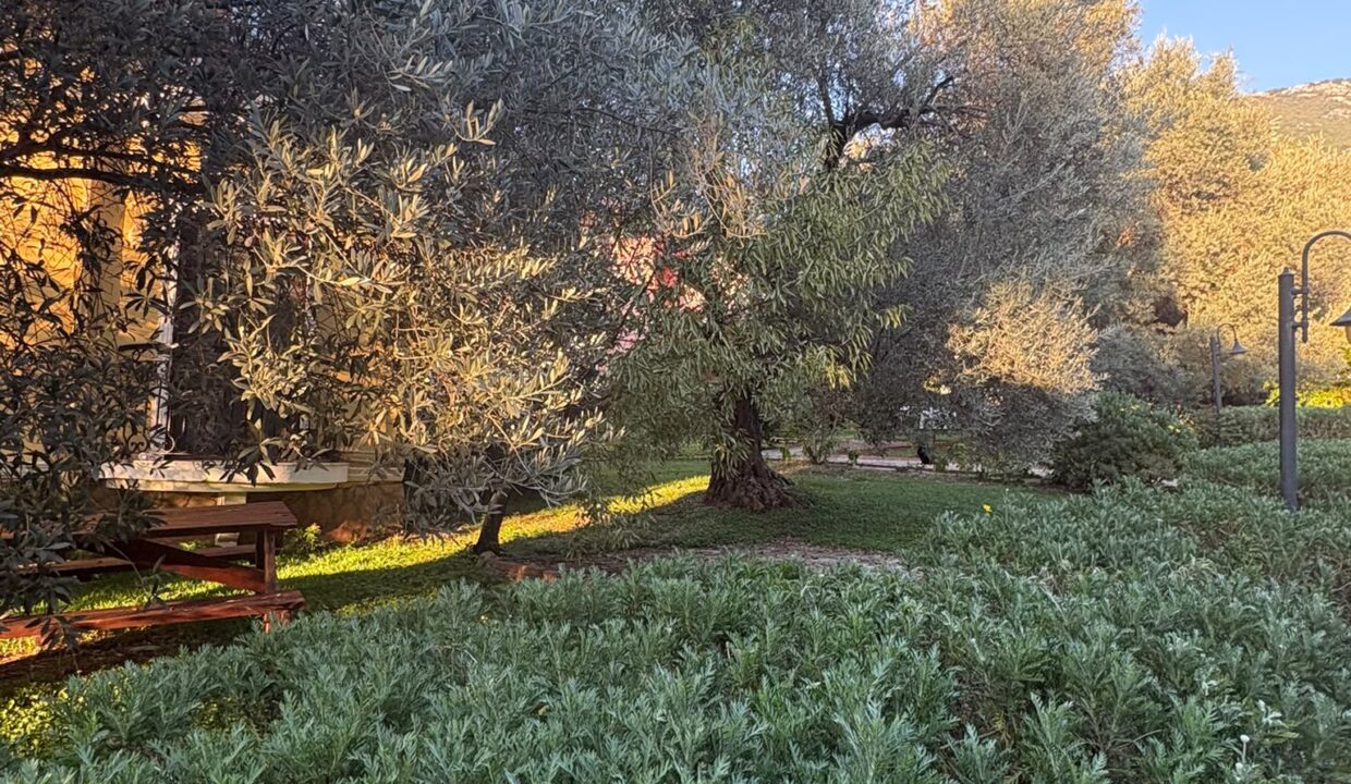 olive garden sharon 2