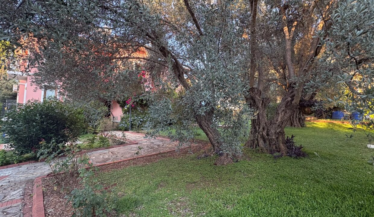 olive garden sharon 3